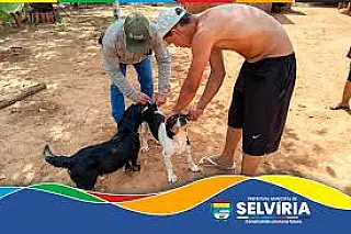 Selvíria já vacinou mais de 450 cães e gatos contra a raiva