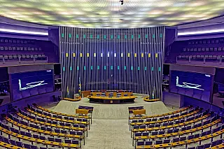 Quatro mulheres ocupam metade das vagas de Mato Grosso do Sul na Câmara dos Deputados