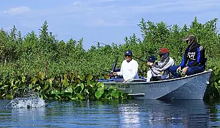 Temporada de pesca começa com alto índice de conscientização ambiental
