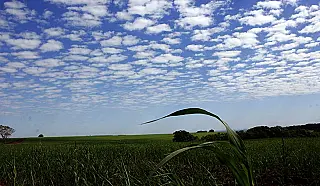 Domingo gelado no sudoeste de Mato Grosso do Sul 