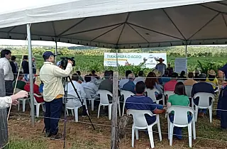 Incentivo à fruticultura diversifica a base produtiva do MS