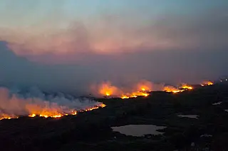 Fiscalização identifica 348 hectares de desmatamento ilegal em MS