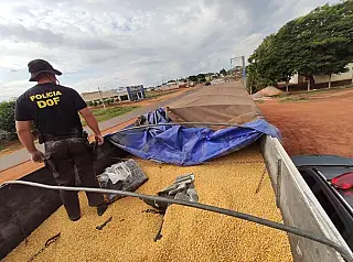 DOF faz segunda maior apreensão de maconha da história no MS