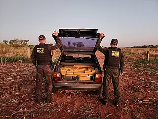 DOF apreende mais de 160 quilos de drogas em Caarapó