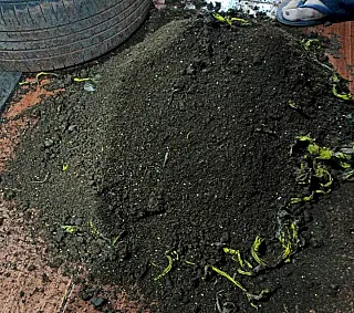 Jovens são flagrados transportando maconha escondida nos pneus de um carro em Caarapó e acabam preso