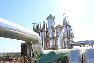 Suinocultura e setor sucroenergético credenciam MS como protagonista em biometano