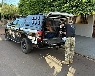 Quadrilha que aplicava golpe do falso advogado é presa durante operação em MS