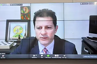 Lei: Nova norma oficializa Ipê como a árvore símbolo do Estado
