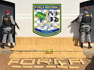 Homem é preso com mais de 250kg de maconha