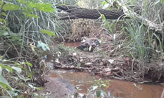 Morador, com dengue, cobra limpeza de nascente usada como lixão