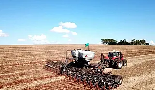 Colheita da soja teve aumento de 7% no MS