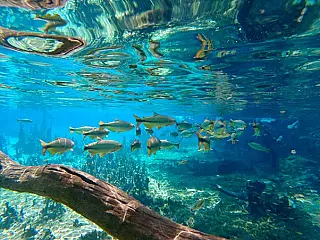 Legalidade da Taxa de Conservação Ambiental em Bonito é investigada pelo MP