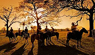 Bonito e Pantanal estão presentes na BNT Mercosul
