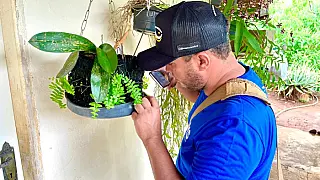 Agentes intensificam combate ao Aedes aegypti em Aparecida do Taboado