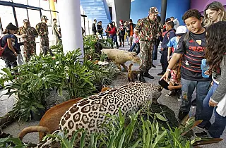 Visitas ao Bioparque Pantanal em junho