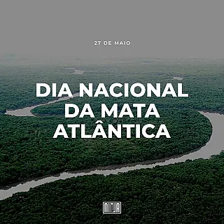 O Dia Nacional da Mata Atlântica