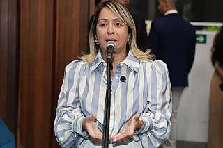 Evento cultural e declaração de utilidade pública são temas de projetos