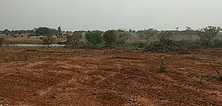 PMA autua infrator em R$ 22 mil por desmatamento ilegal de 21 hectares de vegetação nativa