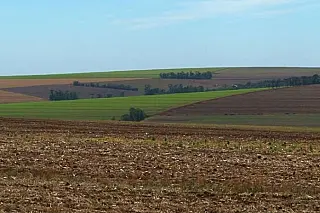 Soja inicia plantio da safra 2026/2027 em Mato Grosso do Sul