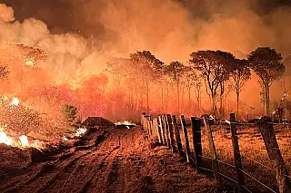 Com aeronaves e equipes extras, Governo de MS intensifica ações e combate aos incêndios no Pantanal