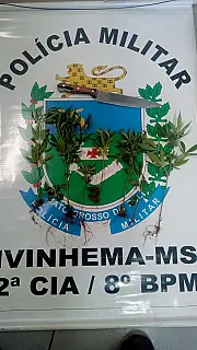 Polícia Militar prende mãe e filho por tráfico em Ivinhema