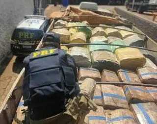 Polícia apreende caminhão carregado com 12,6 toneladas de maconha na BR-060
