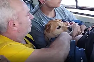 Crianças, idosos e até cão caramelo são resgatados em helicóptero de MS