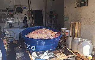 Polícia apreende quase 2 toneladas de carne imprópria para consumo em Selvíria