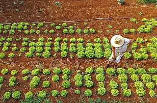 Agraer fortalece acesso ao crédito rural em prol de projetos