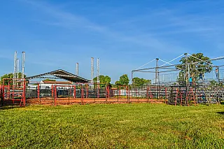 Encontro de Cowboys começa quarta-feira em Selvíria