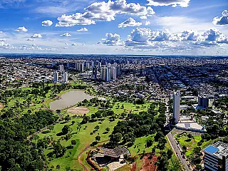 MPMS investiga falta de revisão do Plano Diretor de Arborização Urbana