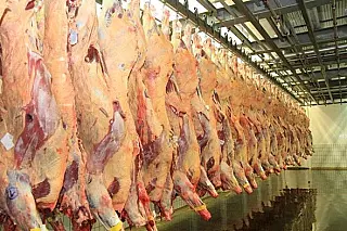 Preço da arroba do boi sobe e já chega ao consumidor final em MS