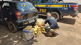 Em Jardim, PRF apreende 140,6 Kg de maconha que seria vendida em Sidrolândia