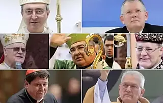 Sete cardeais brasileiros participarão do conclave que elegerá o novo papa
