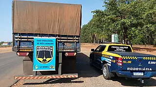 Dois são presos com 327 kg de maconha escondidos em fundo falso de carreta na MS-112
