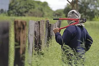 Idosa reage a assalto em MS apertando testículo de bandido e morde outro para escapar