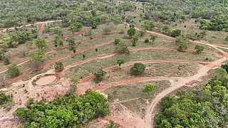 Deodápolis recebe 1º Dia de Campo Prosolo com ações sobre solo e sustentabilidade