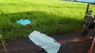 Homens são encontrados degolados na saída de Dourados para Caarapó