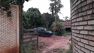 Denúncia de maus tratos leva a polícia até plantação de maconha dentro de Campo Grande.