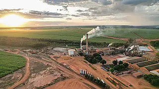 MS lidera crescimento da indústria de transformação na última década