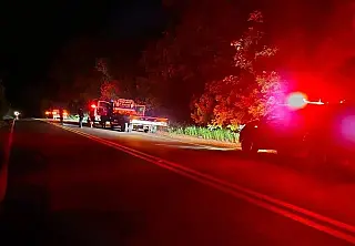 Motorista é morto com tiro na cabeça em rodovia após deixar trator em Cassilândia
