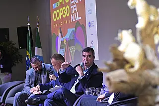 MS apresenta ao mundo expertise único em carbono neutro